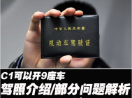你的驾照究竟能开什么车 超详细的介绍